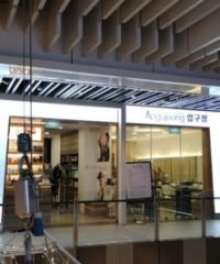 Apgujeong Hair Studio (Jem)