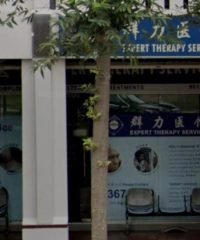 Expert Therapy Services (Woodlands)