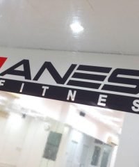 Janesis Fitness
