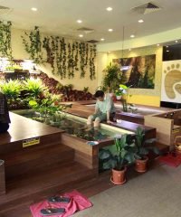 Kenko Reflexology & Fish Spa (Singapore Flyer)