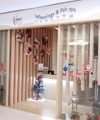 Kenko Reflexology & Fish Spa (Vivocity)