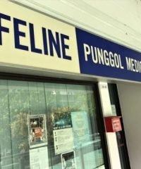 Lifeline Punggol Medical Clinic