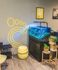 PULSE Foot Reflexology (313@SOMERSET)