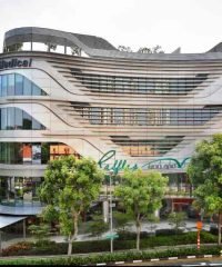 Raffles Medical (Raffles Holland V)