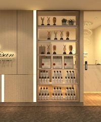 The Artisan Clinic (Paragon Medical)