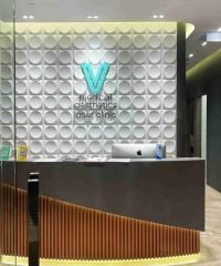 V Medical Aesthetics and Laser Clinic (SBF Center)