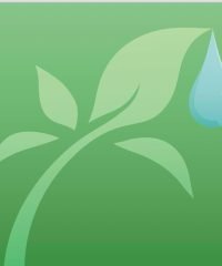 Yu Ying TCM (Paya Lebar)