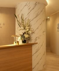 Ageless Medi-Aesthetics (Orchard)