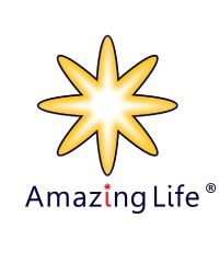 Amazing Life (Lot 1)