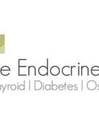 The Endocrine Clinic (Novena)
